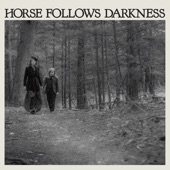 Horse Follows Darkness artwork