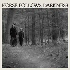 Horse Follows Darkness by Delia Gonzalez album reviews, ratings, credits