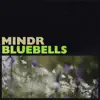Bluebells - Single album lyrics, reviews, download