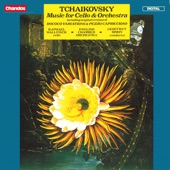 Tchaikovsky: Music for Cello & Orchestra artwork