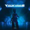 Your Voice - Single album lyrics, reviews, download