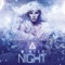 Winter Night (4ndY Sc Mix) - Benjamin Zane & Chris Cage lyrics