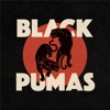 Colors by Black Pumas iTunes Track 11