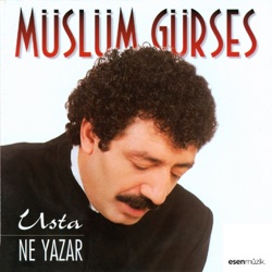 Müslüm Gürses - Yaz Demedim