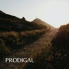 Prodigal - Single