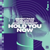 Hold You Now (Extended Mix) artwork