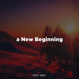 A New Beginning - Relaxing Music with Soft, Amospheric Tracks with an Inspirational Sound by Shakuhachi Sakano album reviews, ratings, credits