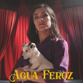 Agua Feroz (feat. Santiago Gervasoni, Lucas Henri & Paul Héroux) artwork