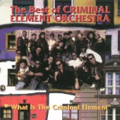 The Best of the Criminal Element Orchestra artwork