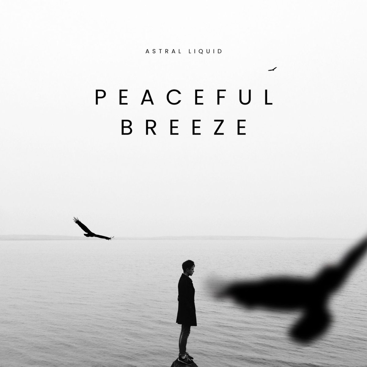 ‎apple Music 上astral Liquid的专辑《peaceful Breeze Ep》 3384