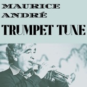 Concerto Pour Trompette Et Cordes artwork