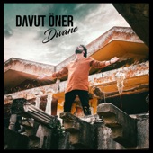 Divane artwork