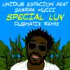 Stream & download Special Luv (feat. Skarra Mucci) [Dubmatix Remix] - Single