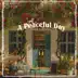 A Peaceful Day album cover