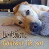 LunAcoustic - Content Lik Zot
