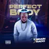 Perfect Body - Single album lyrics, reviews, download