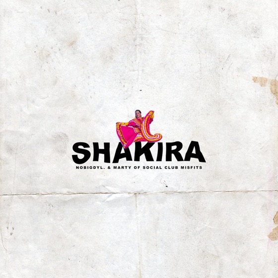 Cover artwork for Shakira (feat. Marty)