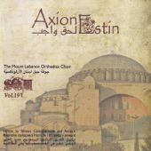 Axion Estin, Vol. 19 artwork