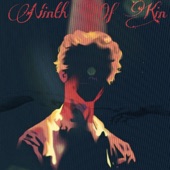 Ninth Of Kin (DFM Mix) artwork