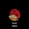 Rain (To the Sunset) - Single