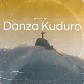 Danza Kuduro Tiktok (Remix) artwork