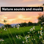 Nature Sounds and Music artwork