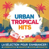 Urban Tropical Hits : La sélection pour s'ambiancer Caribbean Trap, Urban Pop, Kizomba, Reggaeton... artwork