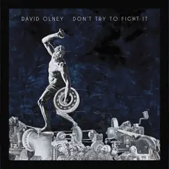 Don't Try To Fight It by David Olney album reviews, ratings, credits