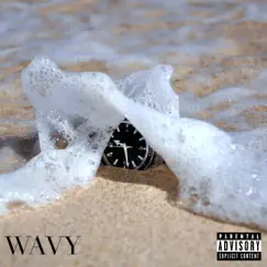 Wavy - Single by Based Case album reviews, ratings, credits