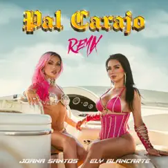 Pal Carajo (Remix) - Single by Joana Santos & Ely Blancarte album reviews, ratings, credits