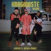 Imaginaste (Remix) - Single