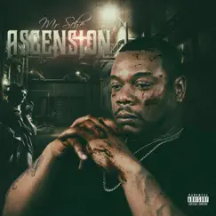 Ascension by Mr. Sche album reviews, ratings, credits