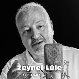 lataa albumi Download Zeynel Lüle - Yalnız Şarkı album