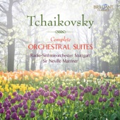 Orchestral Suite No. 1 in D Minor, Op. 43: II. Divertimento. Allegro moderato artwork