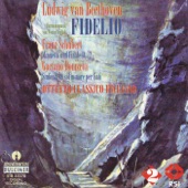 Beethoven: Fidelio, Op. 72 - Schubert: Wind Octet, D. 72 - Donizetti: Sinfonia in G Minor artwork