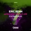 Stream & download Wonders of Nature (Syntouch Remix) - Single