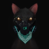 Gato de Noche artwork