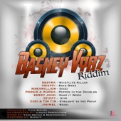 Bashey Vybz Riddim (Instumental) artwork