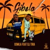 Gibela (feat. DJ Tira) - Single