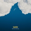 Fall From the Sky - Single