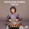 Raga Jog (feat. Anindo Chatterjee & Usha Shastri) - Shivkumar Sharma
