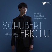 Schubert: Piano Sonatas D. 784 & 959 artwork