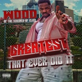 Greatest That Ever Did It artwork