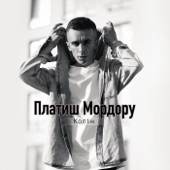 Платиш мордору artwork