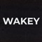 Wakey (feat. Hayal Beats) - Elmagnifico Beats lyrics