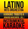 Instrumental Karaoke Series: Armando Manzanero, Vol. 1 (Karaoke Version) album lyrics, reviews, download