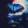 Never Say Never - Single