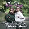 Sepi Sekuntum Mawar Merah - Single