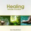 Healing Nature Sounds: Zen Meditation – Deep Contemplation, Relaxing Music After Hard Day and Sleep Problem, Sounds of Zen Garden, Serenity album lyrics, reviews, download