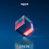 My Secret (Dndm) artwork